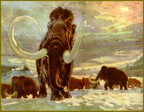 mamut